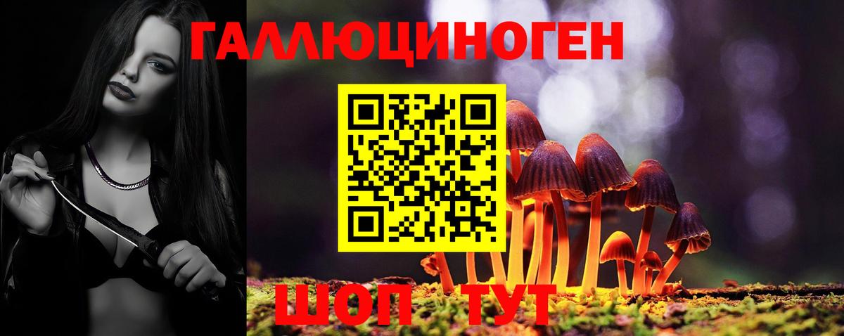 Усть-Илимск  Псилоцибиновые грибы Psilocybine cubensis  Псилоцибиновые грибы Magic Shrooms  Вход с VPN 